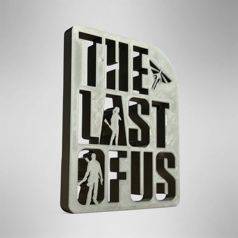 Last Of Us Yazılı Duvar Masa Süsü